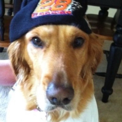 ivebpgw's profile picture. guhhh guhhhhh!