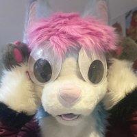 Conri | CauliflowerCat (@cauliflower_cat) 's Twitter Profile