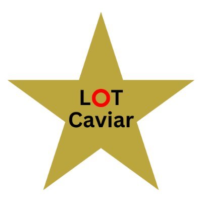 Lot Caviar specializes in providing premium, high-quality caviar experiences on the Phish lot and through exclusive event catering.