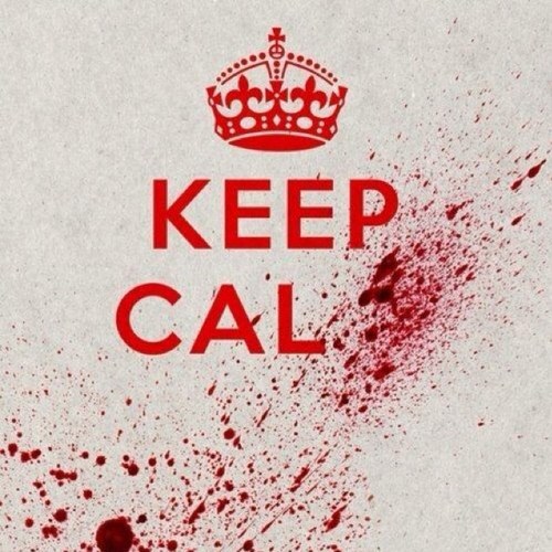 bcrowberry's profile picture. Concept car and motorshow exhibit builder... Generally specialising in making multinational automotive giants look good.