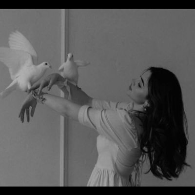 wahj2003's profile picture. إمرأة من نُور حتَى ظِلها ضيّ