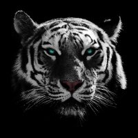 Victory (@victorycypher2) 's Twitter Profile
