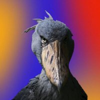 Nefarious Filth Bird đ“…ľ (@sasquatch_god) 's Twitter Profile Photo Nefarious Filth Bird đ“…ľ (@sasquatch_god) 's Twitter Profile Photo