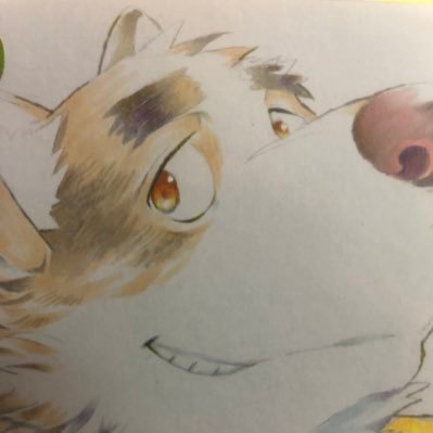 Toko6939's profile picture. ゆる〜く一般ケモナーしてます。カッコケモ！からかわケモ！大歓迎、半分着ぐるみ沼勢、ケモV好き勢/アイコンはLION✳︎STARの千尾さんの色紙です。本人から許可はもらってます。未成年はNG🔞