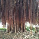 Jason Curran - @jaycrew5 - Twitter