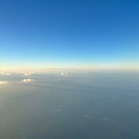 Revaris (@revarisity) 's Twitter Profile