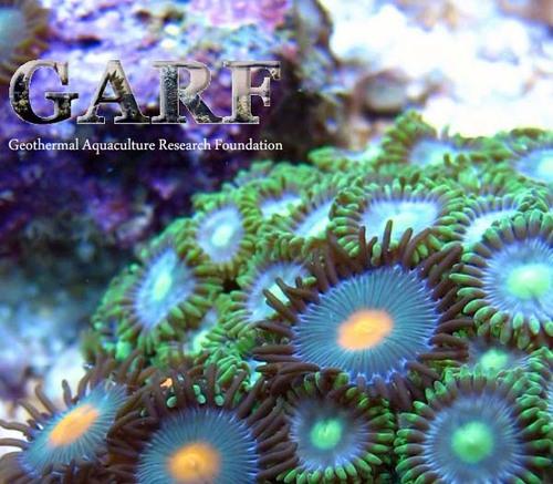 garfdotorg's profile picture. We are an Idaho Non Profit Organization dedicated to advancing the knowledge of reef keeping. Our liverock aquaculture research has produced many new techniques