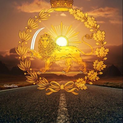 Reza_b747's profile picture. 🐕‍🦺 ₿ ✈️