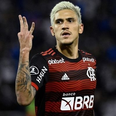 xandrinhw's profile picture. clube de regatas do @flamengo
 🔴⚫️