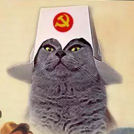Cat photo liker, retweets, linguistics, computers sometimes.