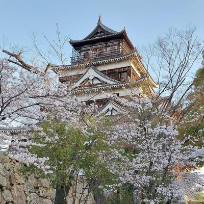 yutaiwill39's profile picture. 桐谷さん推しでXを始めた優待株ファーストの農耕投資家。 50代でセミリタイアし日本株投資中心の生活に。値嵩株の信用取引で失敗を重ね😭高配当&優待株重視に回帰。金とREITとポイ活を少々☺️昔取った杵柄のJGC会員で今は陸マイラー🛩️  元CMA 。日経新聞購読歴40年。農耕型投資と株主優待で楽しく濃厚な人生を志向☀