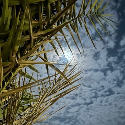 Alhrbi_M4's profile picture. 