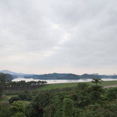 duanhunxulys's profile picture. 