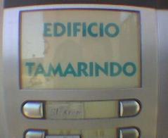 Pulpa de tamarindo.