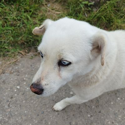 doley24's profile picture. I know that I don't know