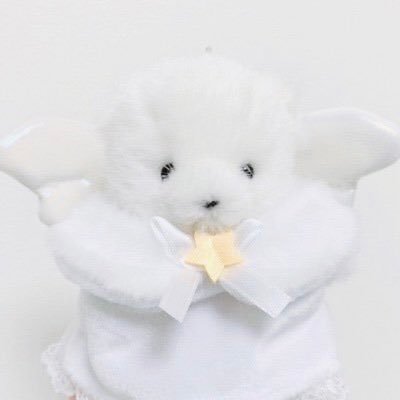 chanmauda's profile picture. かわいいものとおにんぎょう🐰🍀