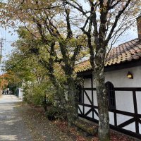 りる⭐︎ (@invest_flower) 's Twitter Profile Photo