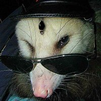 harbinger of sweets (@creepsterrr) 's Twitter Profile Photo harbinger of sweets (@creepsterrr) 's Twitter Profile Photo