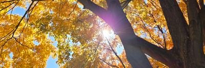 Jt4634's profile picture. I'm me 😊