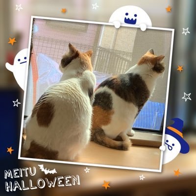 引越しの為断捨離中❤︎様ジャケットs S🧐