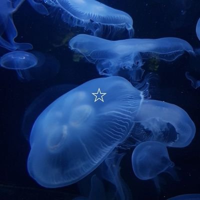 jnhsjtj87824's profile picture. 