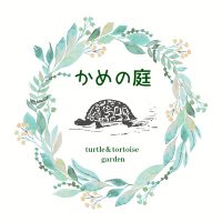 かめの庭 (@mpmz7g) 's Twitter Profile