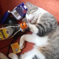 kamauz (@manjarick) 's Twitter Profile