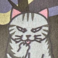 こはだ🐟🖤🪑🔭🩺もうすぐナカズミ🐟 (@hokucassiopeia) Twitter profile photo