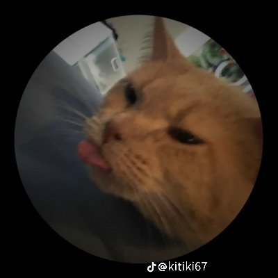He/Him Likes to build model kits and draw. Plays warthunder