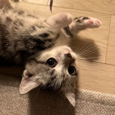 12さんのプロフィール画像