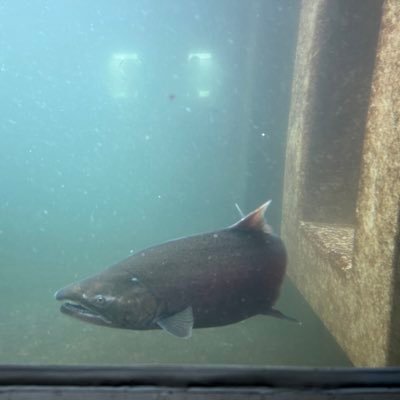 Sallycozz's profile picture. 