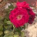 ROHIT RATHEE (@rathee_roh37177) Twitter profile photo ROHIT RATHEE (@rathee_roh37177) Twitter profile photo