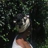 simplytumininu's profile picture. Daughter of a king👑,  and a human right activist .