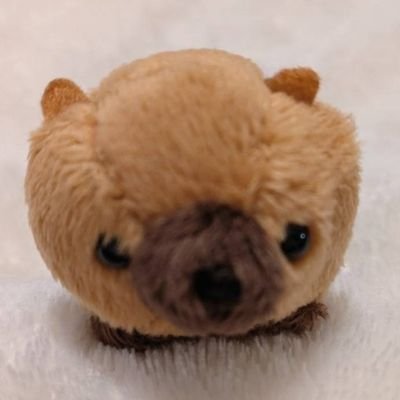 osanpo_mimikun's profile picture. 名古屋市民です。東山動植物園・名古屋港水族館によく行きます😊✨
保護犬・猫応援しています🐶🐱
無言フォロー失礼致します🙇
🐻‍❄️🐺🦁🐯🦒🐘🐻🦊🦝🐬