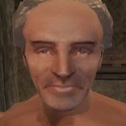 i am literally The Elder Scrolls III: Morrowind - Game of the Year Edition (2003)