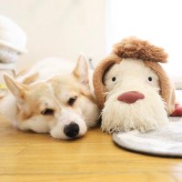 ばななな (@banana_corgi7) 's Twitter Profile Photo ばななな (@banana_corgi7) 's Twitter Profile Photo