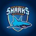 Antibes Sharks (@antibessharks) Twitter profile photo Antibes Sharks (@antibessharks) Twitter profile photo