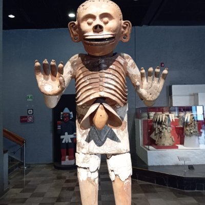 GufumHabufelte's profile picture. 