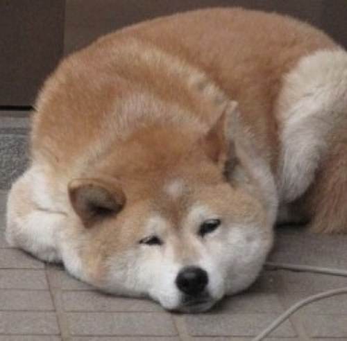 takazo_tw's profile picture. ＩＴ企業に勤め、趣味では旅行や写真、音楽などを楽しんでます～。最近は、秘湯めぐりにも目覚めてしまいました（笑）　きままに生きてますので、どうぞよろしくおねがいします(^^)

好き勝手にブツブツ言ってます。