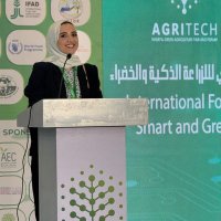 Hadeer Moneer (@hadeerdimitra) 's Twitter Profile Photo