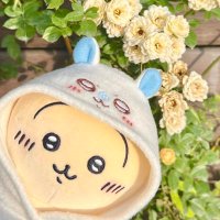みーたん (@miku0429_twit) 's Twitter Profile Photo みーたん (@miku0429_twit) 's Twitter Profile Photo