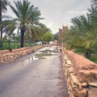 محمد الخالدي (@kvmos2cuuwjcf1a) 's Twitter Profile