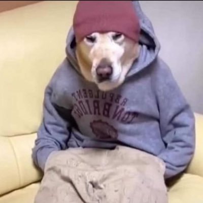 curlsify's profile picture. 18