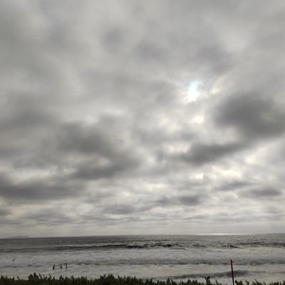 mxrthxswky's profile picture. 