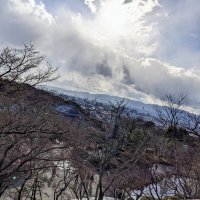 八坂 (@psyasaka) 's Twitter Profile
