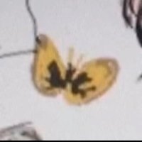 RIzz (@rizz2235) 's Twitter Profile Photo