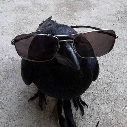 The Arcana is the means by which all is revealed
#lgbtafriendly + #blm
ⁱ ⁿᵉᵉᵈ ᵃ ʰᵘᵍ
INFP + ♒