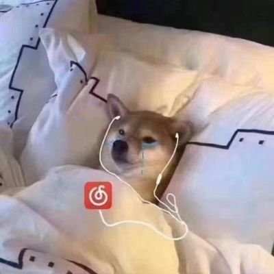 xdcosww's profile picture. 这里是心动中介，C圈 WW靠谱中介 信誉靠谱可打听绝对的优质物超所值！欢迎各位老板看照咨询 有门槛开路』 88r 有处女，萝莉，御姐。线下qq：1125827512。352488040     全国一手cos 大圈 洋酒 cn 24小时等待你滴滴！已付压金百万博主担保