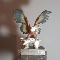 Duke (@cds1710) 's Twitter Profile