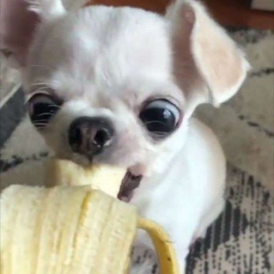 Te0vich125758's profile picture. 